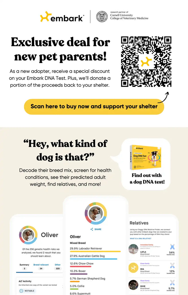 Marketing promotion for Embark DNA test kits featuring a QR code and pet profile interface.